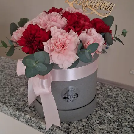 Skalnica- Z Widokiem Na Gory, Przy Szlakach アパート *