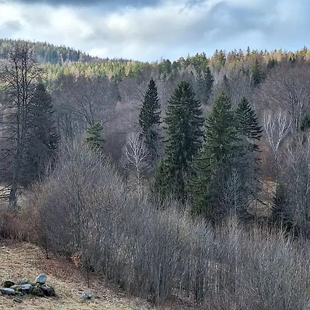Apartment Skalnica- Apartamenty Z Widokiem Na Gory, Sauna I Kominek, Przy Szlakach