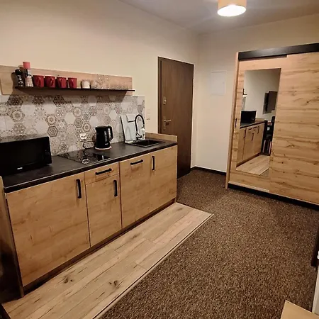 Apartment Skalnica- Apartamenty Z Widokiem Na Gory, Sauna I Kominek, Przy Szlakach