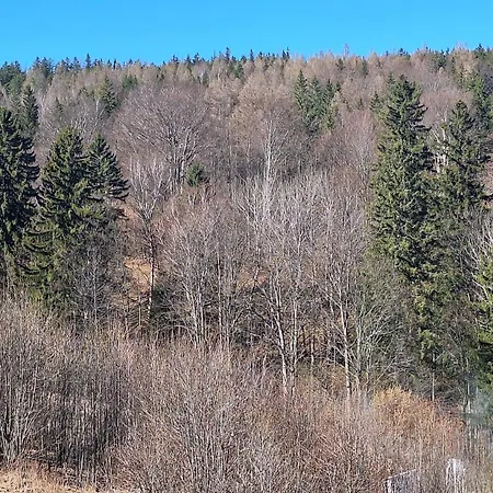 Skalnica- Apartamenty Z Widokiem Na Gory, Sauna I Kominek, Przy Szlakach *
