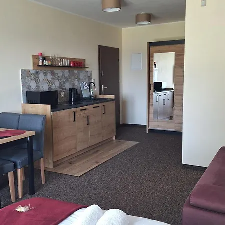 Skalnica- Apartamenty Z Widokiem Na Gory, Sauna I Kominek, Przy Szlakach *