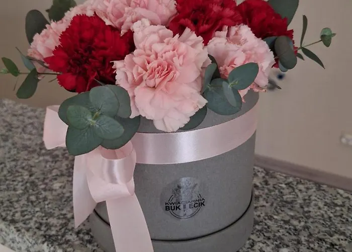 Skalnica Apartament *